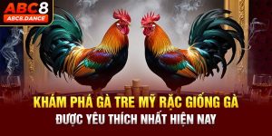 Gà Tre Mỹ Rặc - Những Thông Tin Chi Tiết Về Giống Gà Này